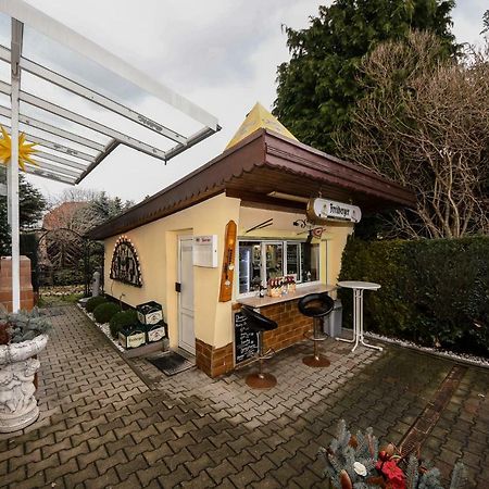 Pension Seilerberg Freiberg Dış mekan fotoğraf
